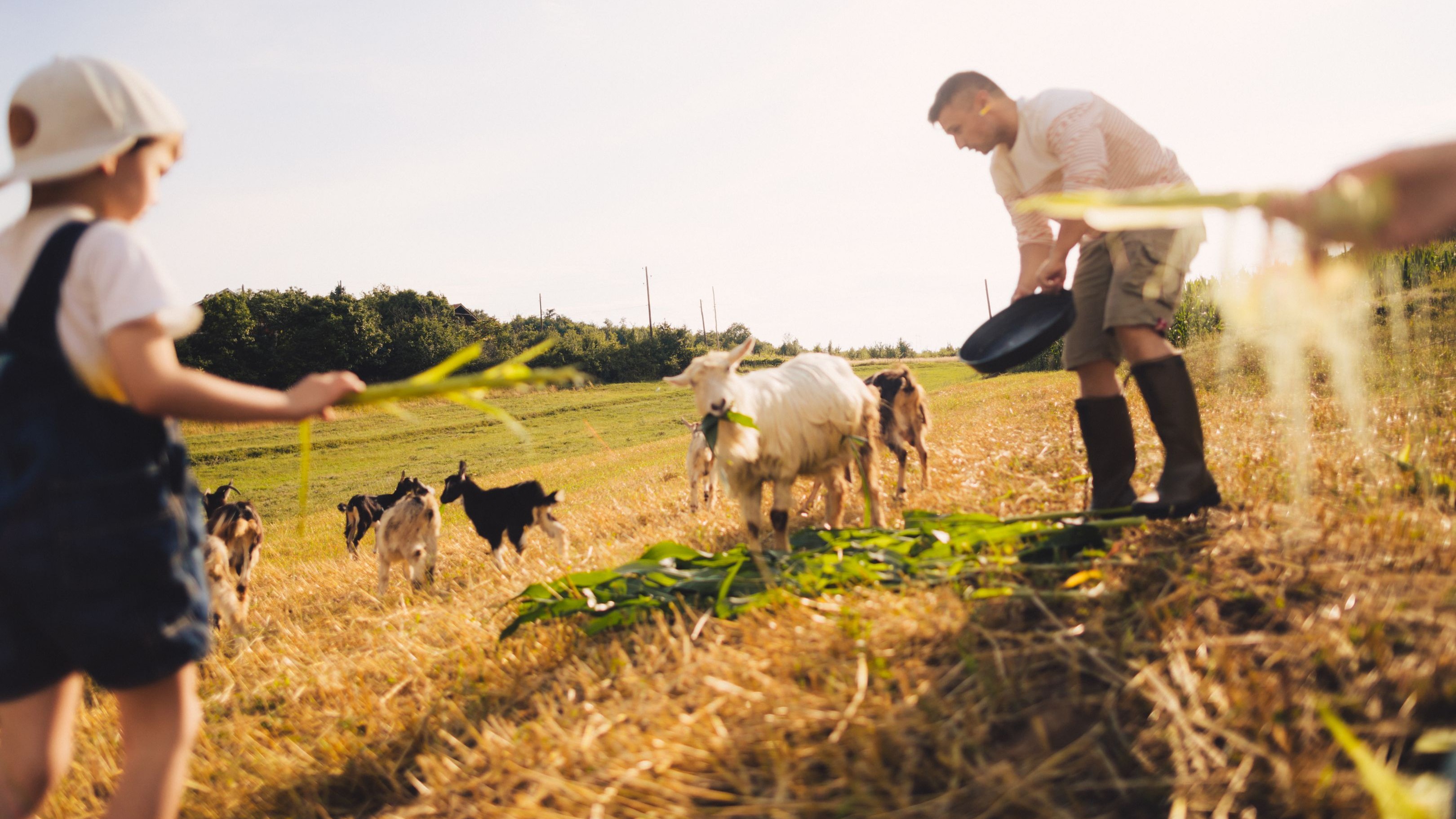 L’agriculture et la nature cultivée ont toujours constitué une ressource pour reprendre des forces et se sentir utile, et s'avèrent très bénéfiques pour de nombreuses pathologies liées à la santé mentale – photo DR