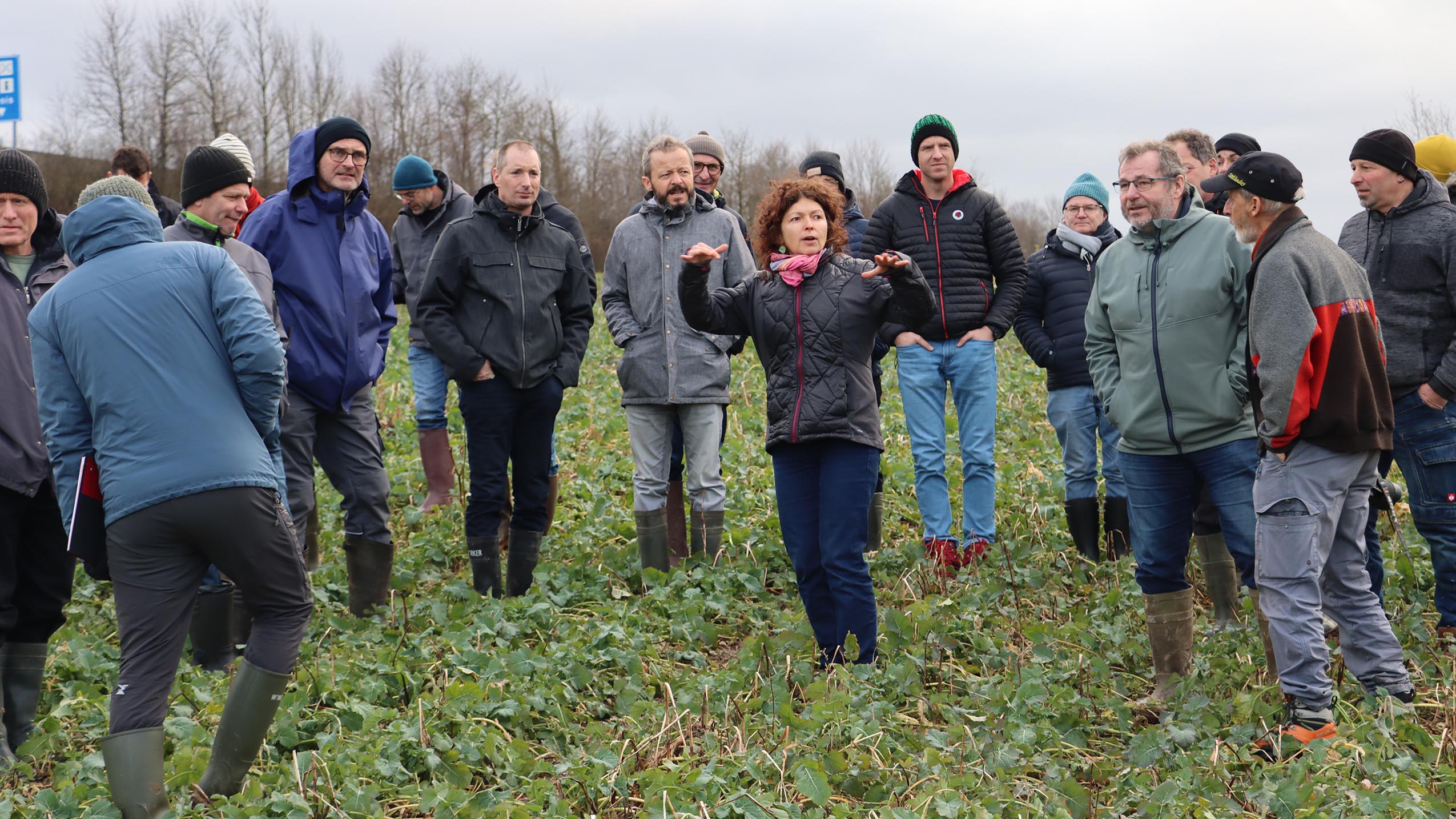 La pédologue Nathalie Dakhel Robert (au centre) explique aux agriculteurs, dont le syndic de Bavois Thierry Salzmann à sa droite, comment la structure des sols cultivés modifie la circulation de l’eau – photo EA