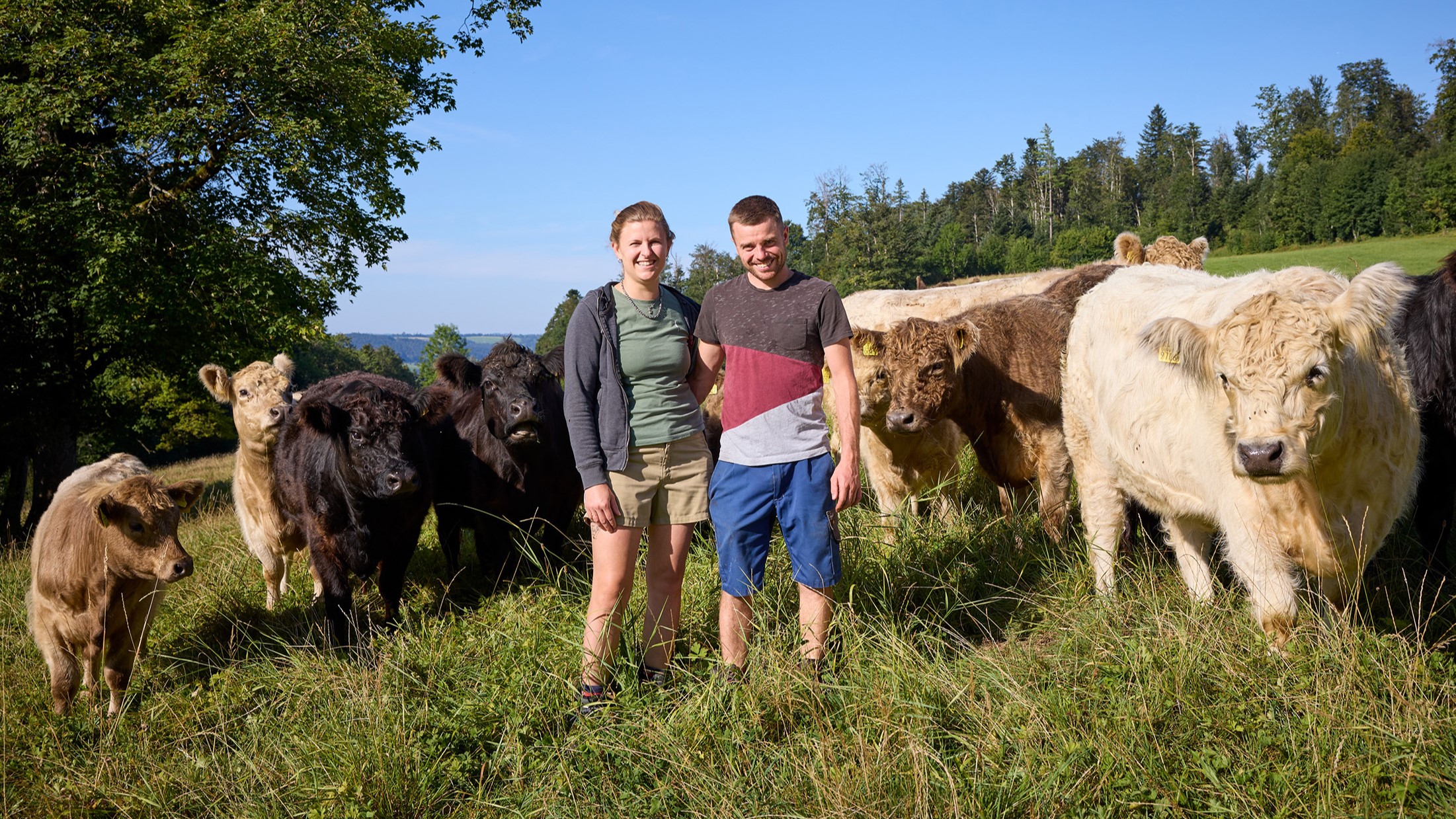 Ariane Moser et Silvan Schläfli, les nouveaux exploitants du domaine depuis début avril, dans cette lumière d’été faisant rimer vaches Galloways avec Happy Days – photo DR 